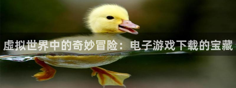 ng娱乐官网