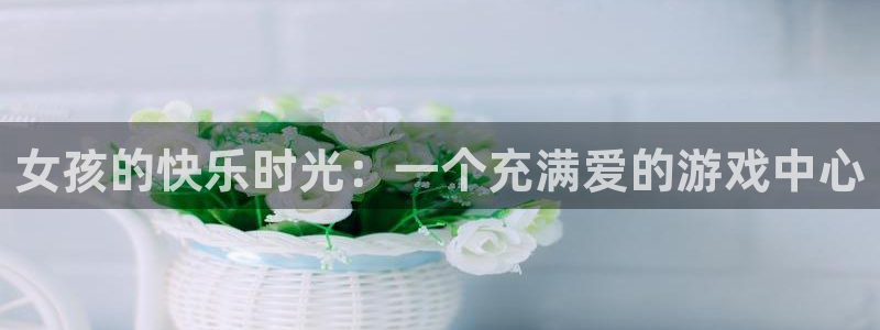 ng娱乐登录入口